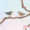 Spring birds