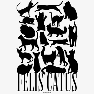Felis Catus Black