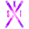 ski