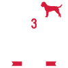 Border Terrier
