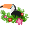 Toucan
