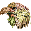 eagle eagle