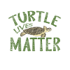 tortue