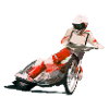 Speedway Racer