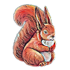 squirrel