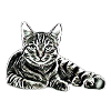 Katze