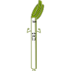 funny leek