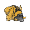 Cadeau chien malinois