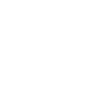 Bird illustration