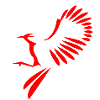 Bird illustration