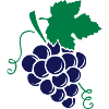 grapes design