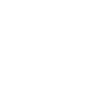 SLR camera
