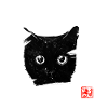 cat face in white