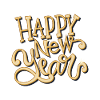 Bonne année