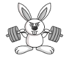 Pumpernickel Hasen Workout