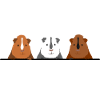 3 süße Meerschweinchen Geschenk