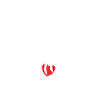 Skeleton cat