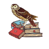 Books Owl wisdom reading