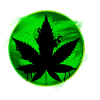 cannabis leaf