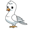 Little white dove