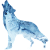 wolf howling