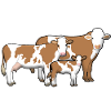 cowfamily