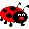 ladybug