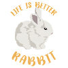 Rabbit cute pets