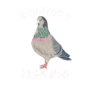 Ruhrpott Flamingo pigeon mining