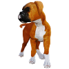 Dog boxer puppy
