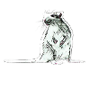 rat