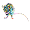 rat