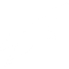 gliding eagle