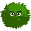 Bush with eyes