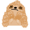Nooo!
