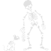 Cat likes fish bone skeleton