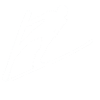 Skispringen