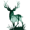 Deer nature