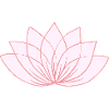 Pink Lotus