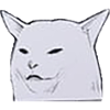 Confused Cat