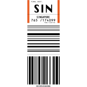 Singapore Changi Airport SIN
