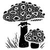 mushroom
