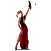 Flamenco Flamingo!