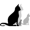 Family Cats