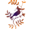 purple bird
