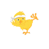 Poussin de karaté