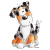 Süßer Australian Shepherd - Aussie - Geschenk