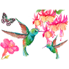 Hummingbirds and butterfly among fuchsias