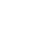 Viking