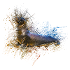 Sea Lion
